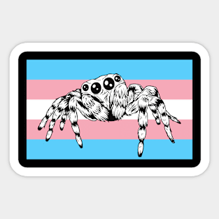 Cute Pet Jumping Spider Trans Transgender Pride Flag Rainbow Month Sticker